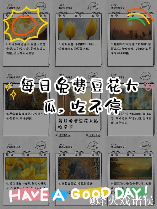 每日追踪51大瓜：吃瓜不停欢乐不断